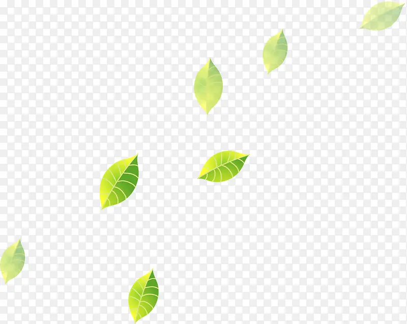 ��ҶƯ��-������