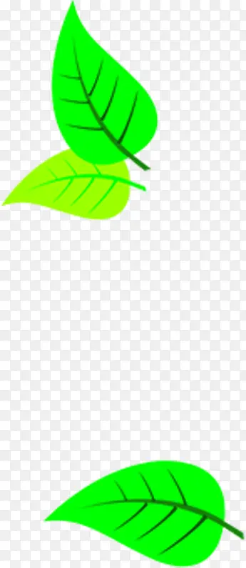 ��ɫ��ͨ��Ҷ�ɰ�-������