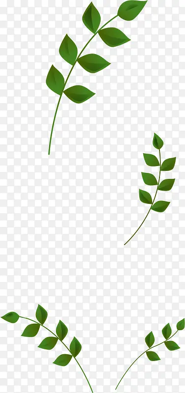 ��ҶƯ��-������