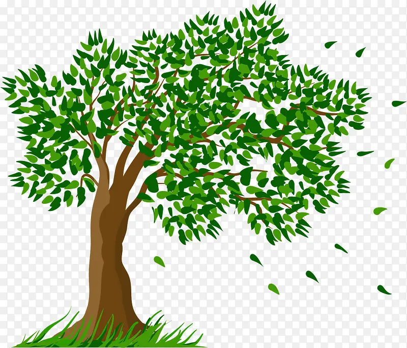 ��ɫ�ֻ���ľ-������