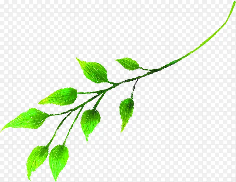 ��ɫʱ�д����ֻ���Ҷ-������