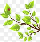 ��ɫ����������Ҷ����-������