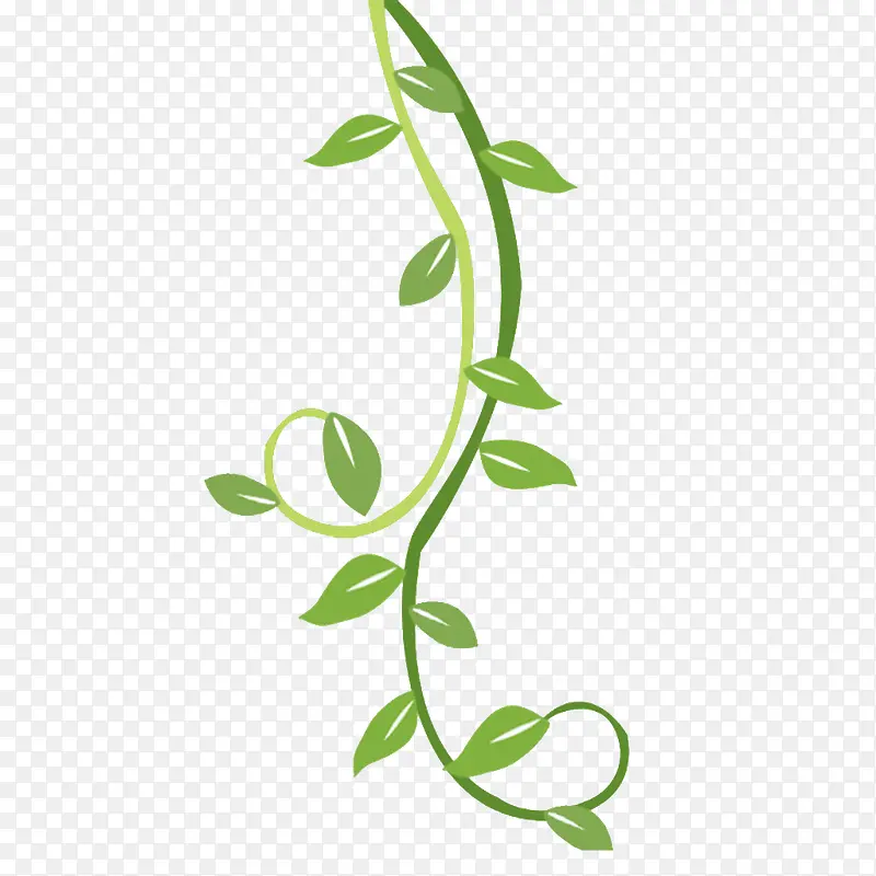 ��֦-������