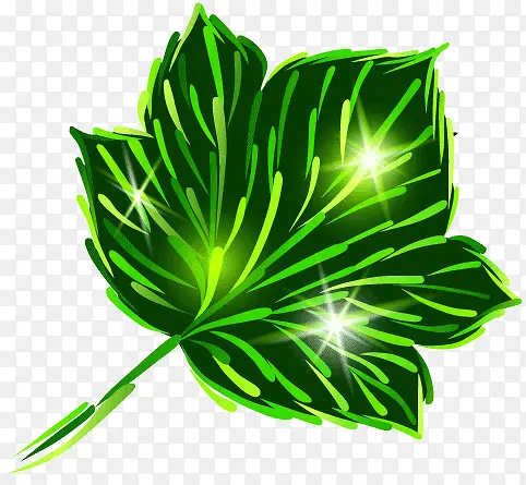 ��Ҷ-������