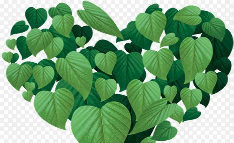 ��ɫʱ�д��컨����Ҷ-������