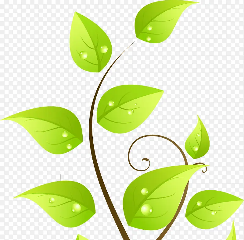 ��ɫʱ����Ҷ����װ��-������