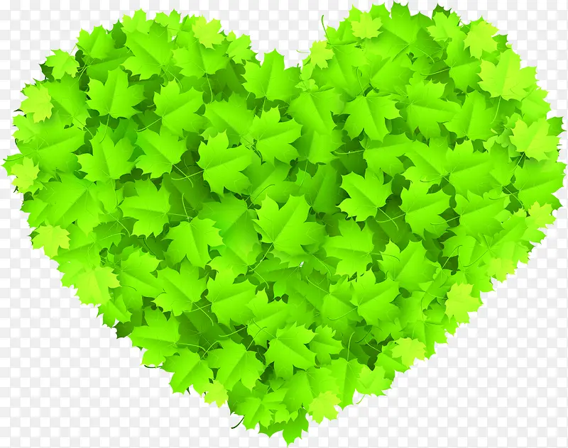 ��ɫ��ͨ������Ҷ����-������