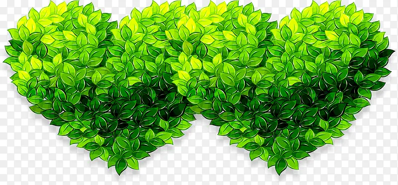 ��ɫ������Ҷ��������-������