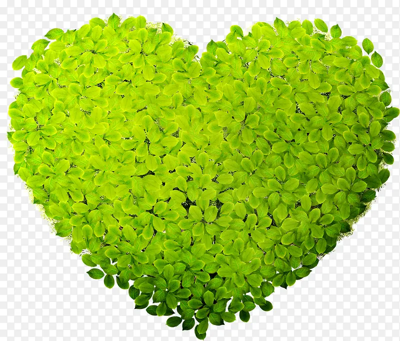 ��ɫ��Ҷ���Ͱ���-������