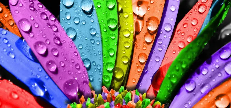 ��Ӱ����-������