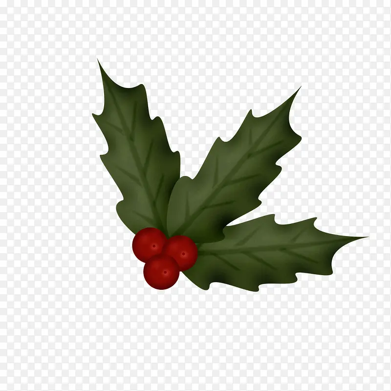 ʥ����װ��-������