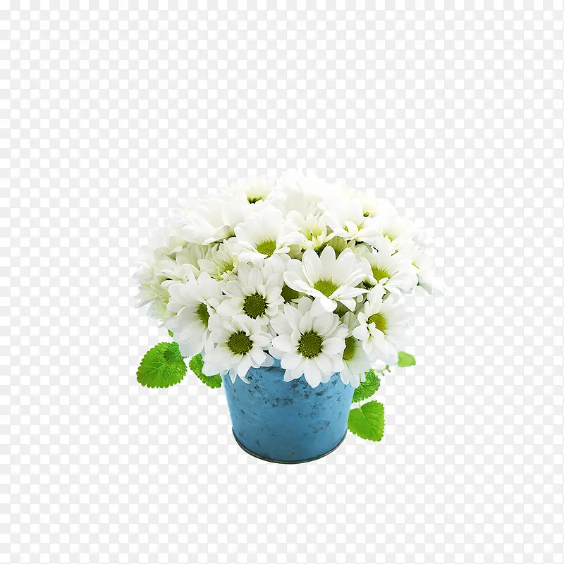 ��ɫС ����Լ����-������