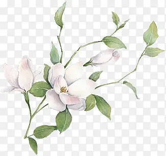 ��ɫΨ��С������-������