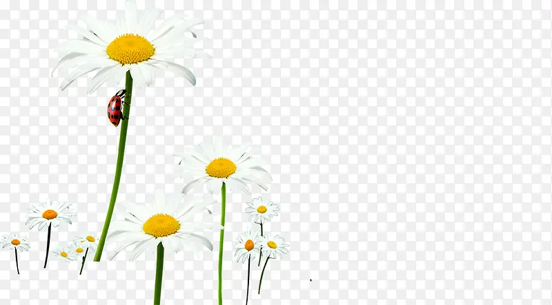 ��ɫ���´���С��-������