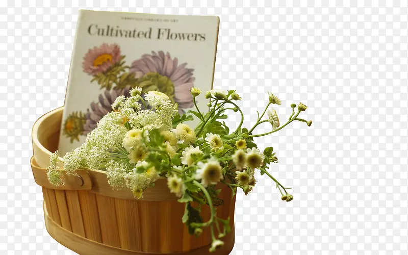 Ψ����ɫ����С��-������