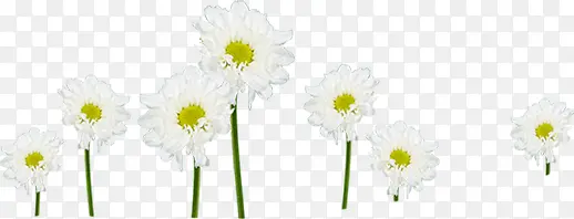 ��ɫС������װ��-������