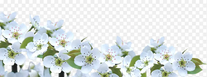 ��ɫС������װ��-������