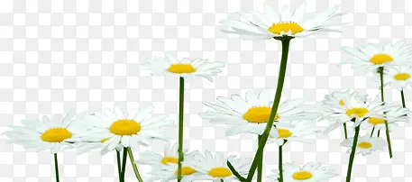 Ұ���ɫС��װ��-������