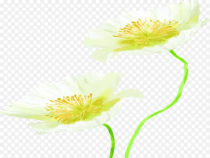 ��ɫС������װ��-������