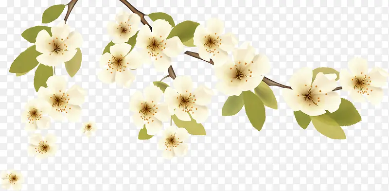 ��ɫΨ������С��-������