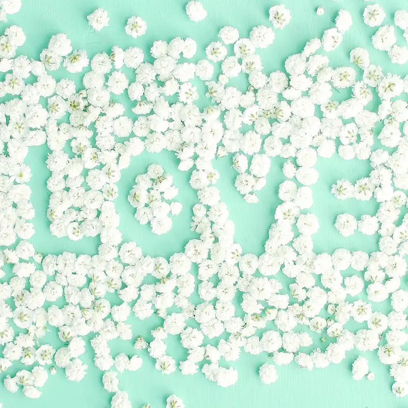 ��ɫ���°�ɫС��-������