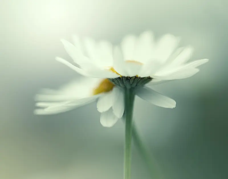 ��ɫС�����·羰-������