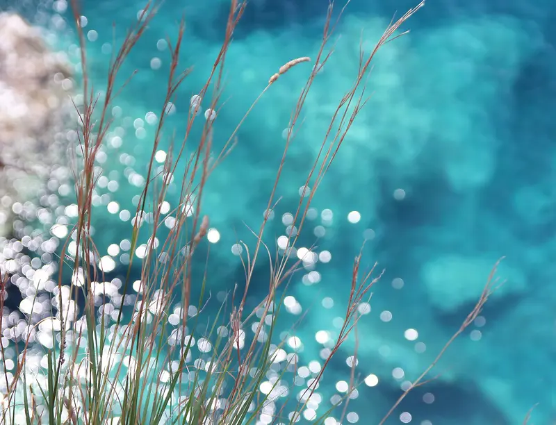 ��ɫ��״С��С��-������