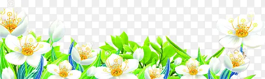 ��ʦ����Ҷ��ɫС��-������