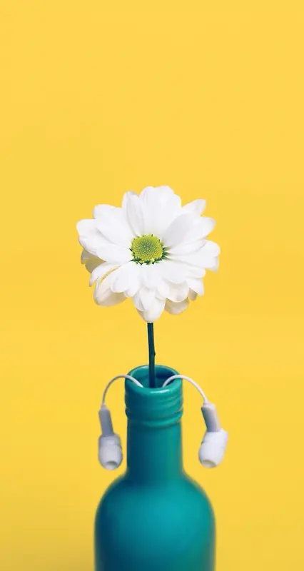 ��ɫ������ɫС��-������