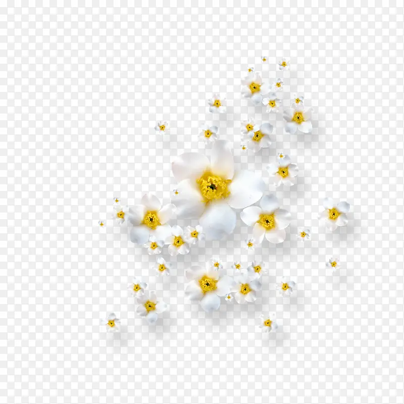 �����ɫС��-������