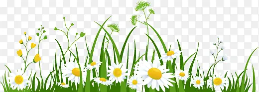 �̲ݰ�ɫС��ͼƬ-������