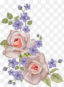 ��ɫ��ɫС����Ҷ-������