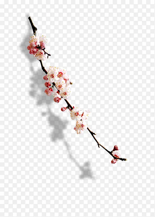 ��֦��ɫС��ͼƬ-������