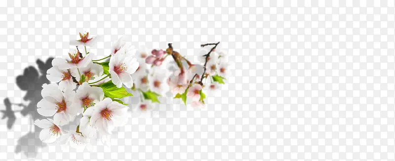 ��ɫ��ɫʢ��С��-������