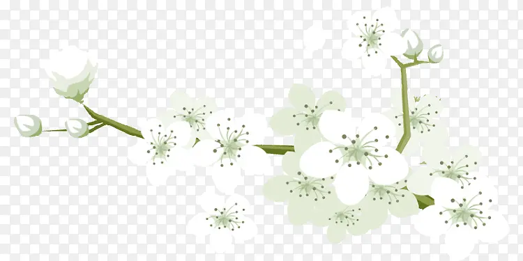 �����ɫС��-������