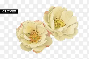 ��ɫʢ��С��-������