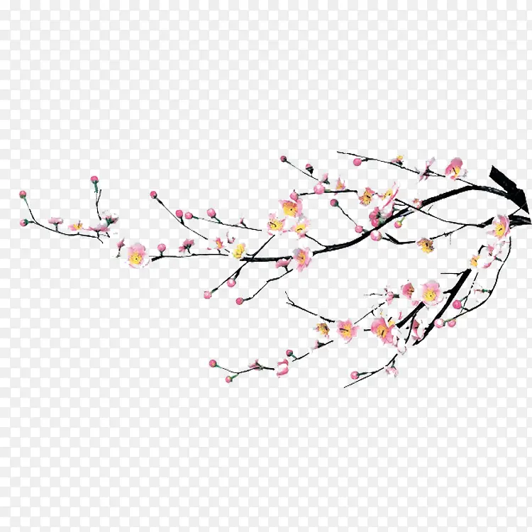 ��ɫС����ɫ��֦-������