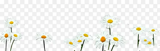 ���°�ɫ����С��-������