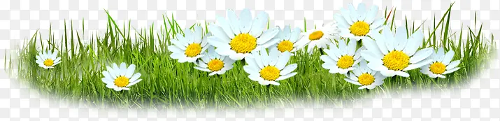 �������հ�ɫС��-������