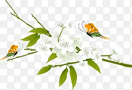 ���°�ɫС������-������