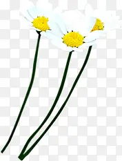 ��Լ���°�ɫС��-������