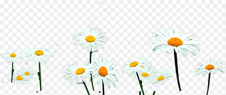 ��ɫΨ��С������-������