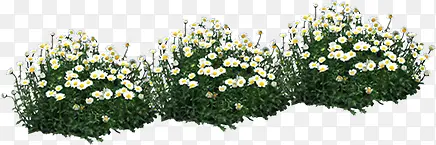 ���¾��۰�ɫС��-������