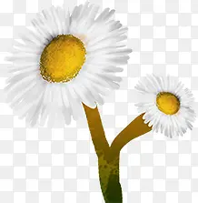 ��ɫ��ԼС��װ��-������