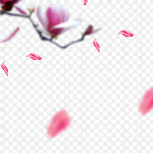 ���ꡢ��ҶƯ��-������