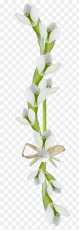 ��ɫ�����ɫ����-������