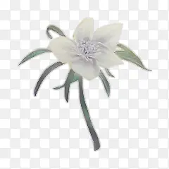 ��ɫ����ˮ�ʻ���-������