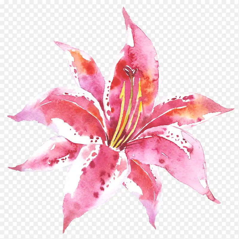 ˮ�ʺ�ɫ���仨��-������