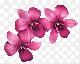 ˮ�ʺ�ɫ����-������