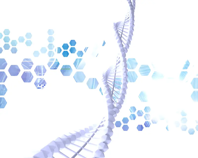 ���󱳾��ز�87-������